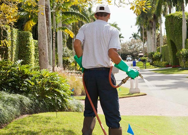 About Gridley KS Pest Control